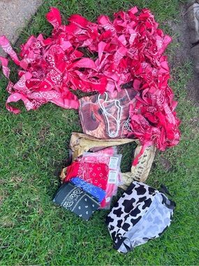 Cowboy Western Party Decorations Bandana Garland & Cow Print Totes
